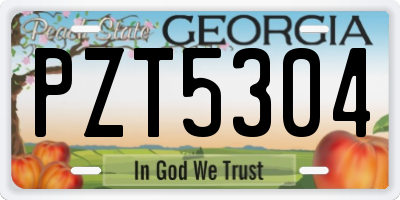 GA license plate PZT5304