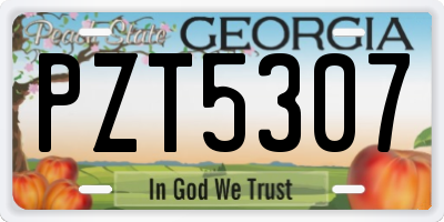 GA license plate PZT5307
