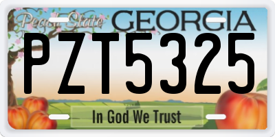 GA license plate PZT5325