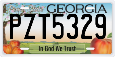GA license plate PZT5329