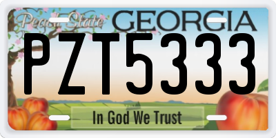 GA license plate PZT5333