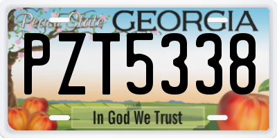 GA license plate PZT5338
