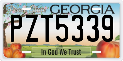 GA license plate PZT5339