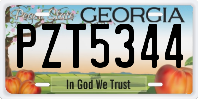 GA license plate PZT5344