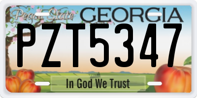 GA license plate PZT5347
