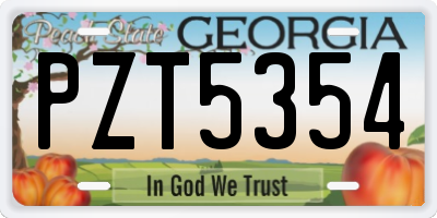 GA license plate PZT5354
