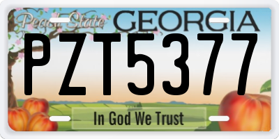 GA license plate PZT5377
