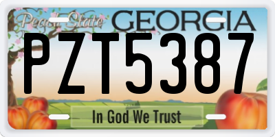 GA license plate PZT5387