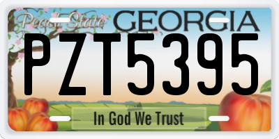 GA license plate PZT5395