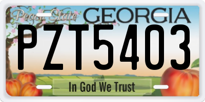 GA license plate PZT5403