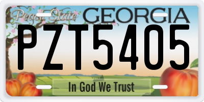 GA license plate PZT5405