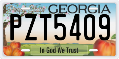 GA license plate PZT5409