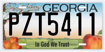 GA license plate PZT5411