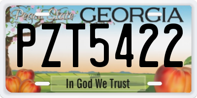 GA license plate PZT5422