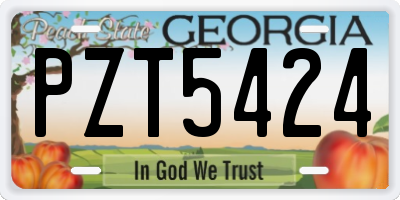 GA license plate PZT5424