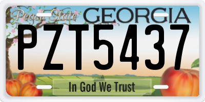 GA license plate PZT5437