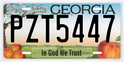 GA license plate PZT5447