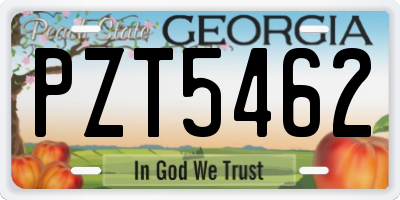 GA license plate PZT5462