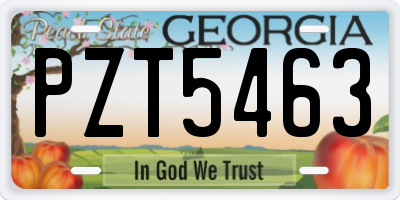 GA license plate PZT5463
