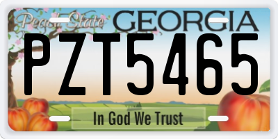GA license plate PZT5465