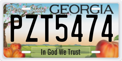 GA license plate PZT5474