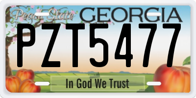 GA license plate PZT5477