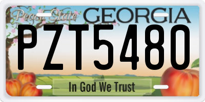 GA license plate PZT5480