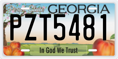 GA license plate PZT5481