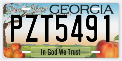 GA license plate PZT5491