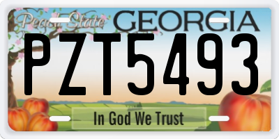 GA license plate PZT5493