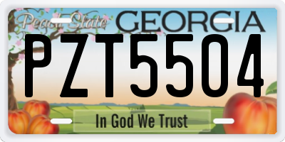 GA license plate PZT5504