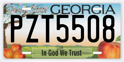 GA license plate PZT5508