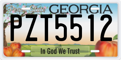 GA license plate PZT5512