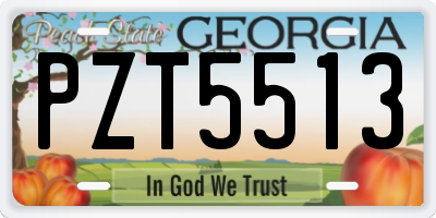 GA license plate PZT5513