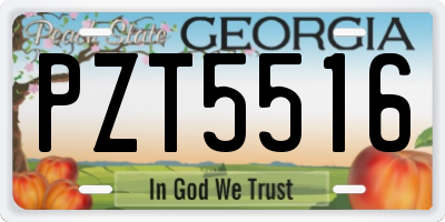 GA license plate PZT5516