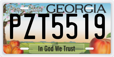 GA license plate PZT5519