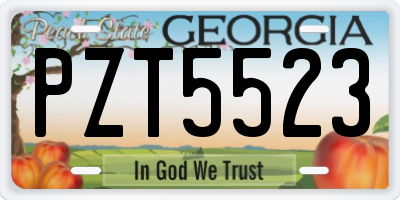GA license plate PZT5523