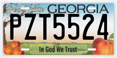 GA license plate PZT5524