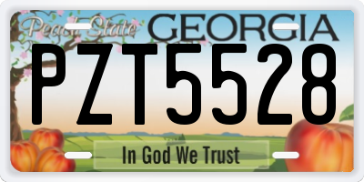 GA license plate PZT5528