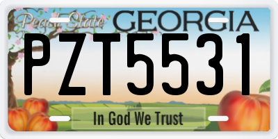 GA license plate PZT5531
