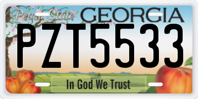 GA license plate PZT5533