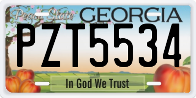 GA license plate PZT5534