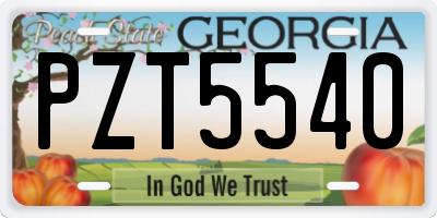 GA license plate PZT5540