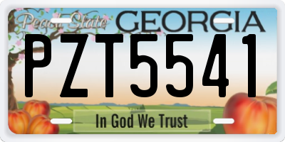 GA license plate PZT5541