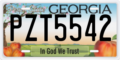 GA license plate PZT5542