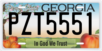 GA license plate PZT5551