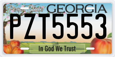 GA license plate PZT5553