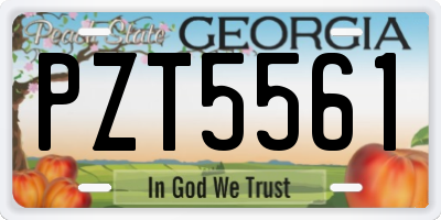 GA license plate PZT5561
