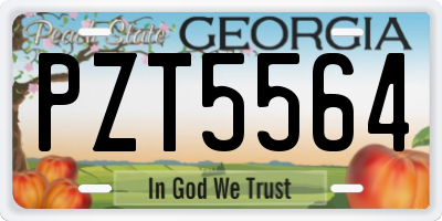 GA license plate PZT5564