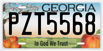 GA license plate PZT5568